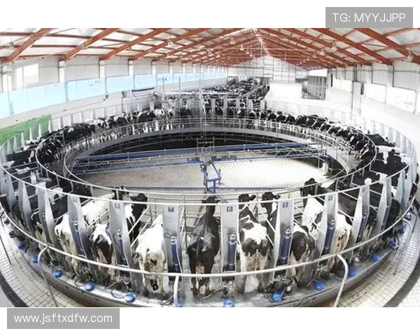 探索篮球技战术演变与现代职业联赛发展趋势的全景化深度研判报告