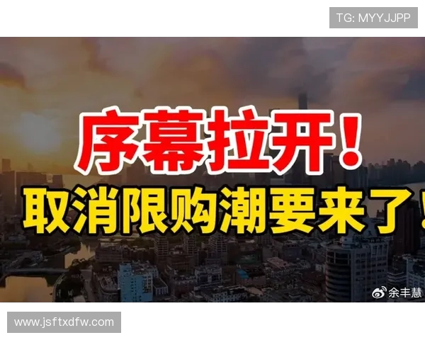 广州乒乓球队的节奏与发展动态深度解析及未来展望