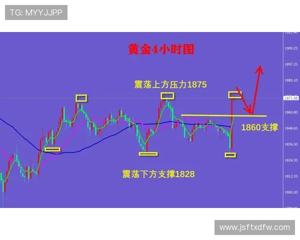坦珀利与正义竞猜的精彩对决分析与预测策略分享